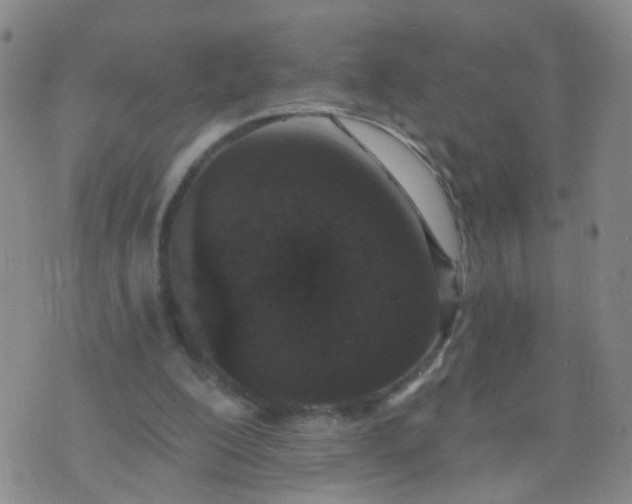 X0000074300200200609081925