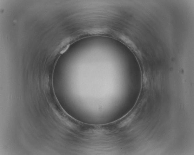 X0000074300201200609081925