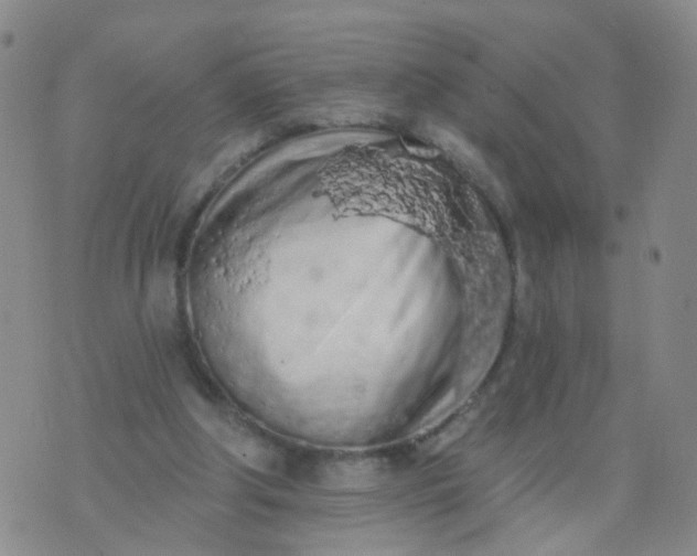 X0000074300202200609081925