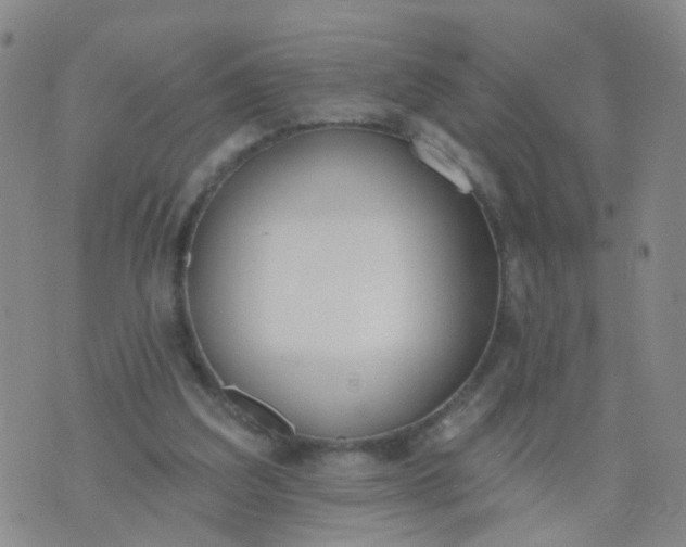 X0000074300203200609081925