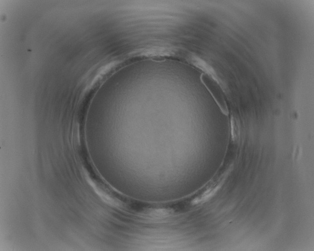 X0000074300205200609081925