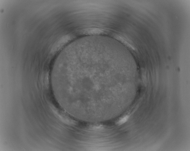 X0000074300206200609081925