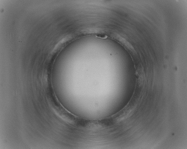 X0000074300207200609081925