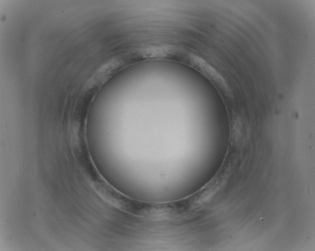 X0000074300209200609081925