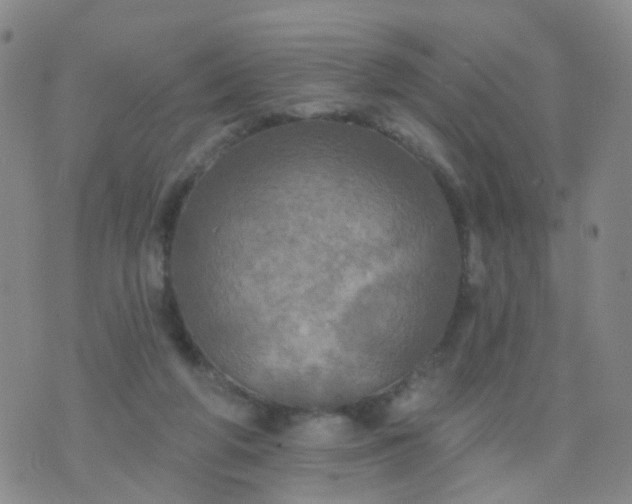 X0000074300210200609081925