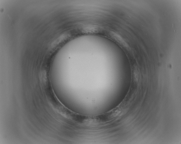 X0000074300211200609081925