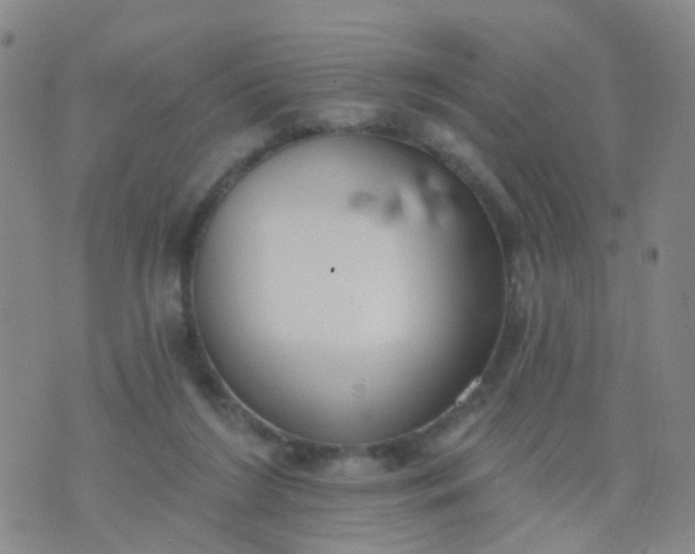 X0000074300212200609081925