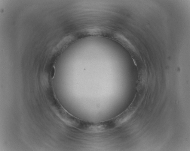 X0000074300213200609081925