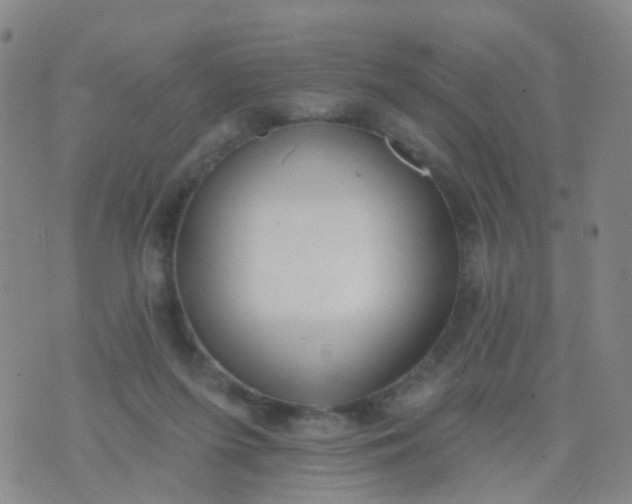 X0000074300215200609081925