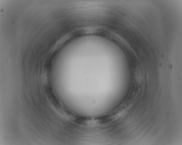 X0000074300216200609081925