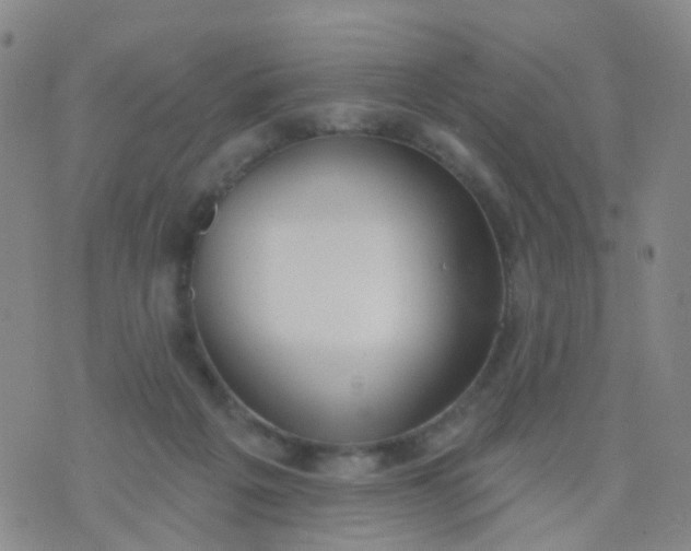 X0000074300217200609081925