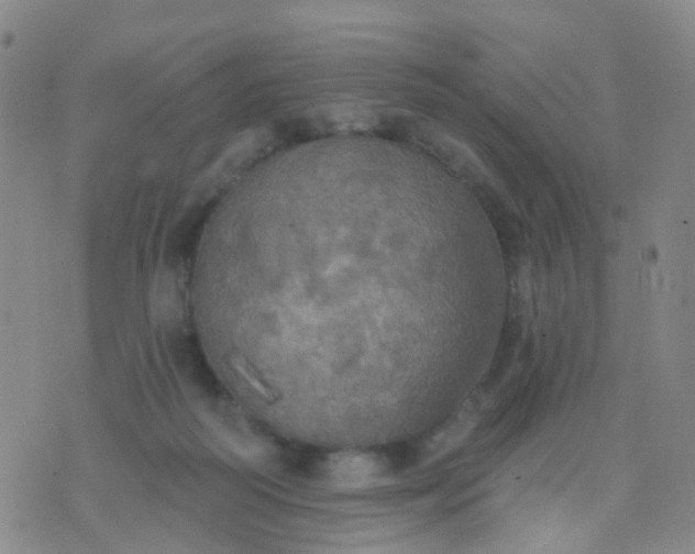 X0000074300218200609081925