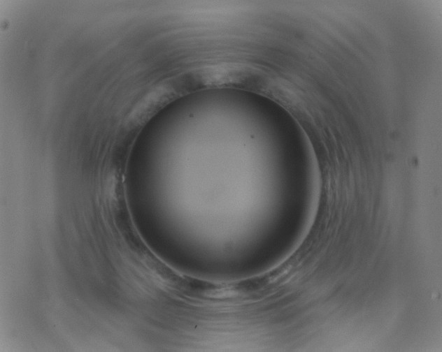 X0000074300219200609081925