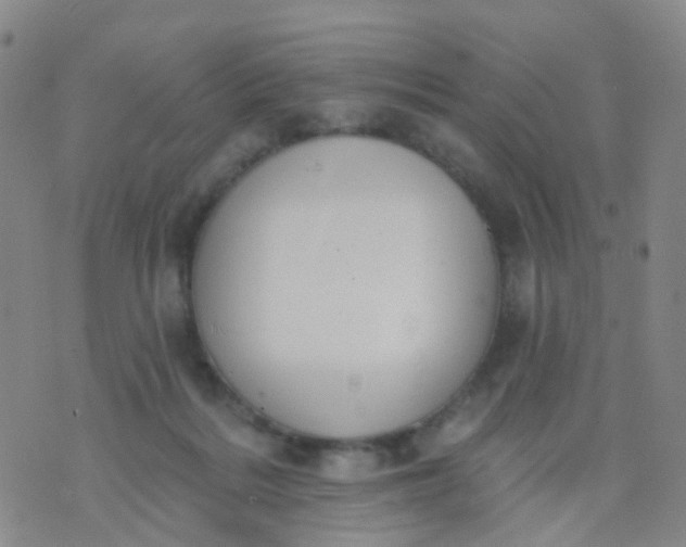 X0000074300220200609081925