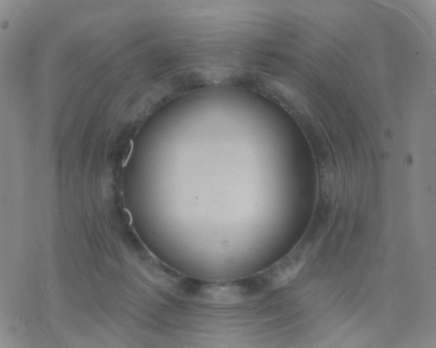 X0000074300221200609081925