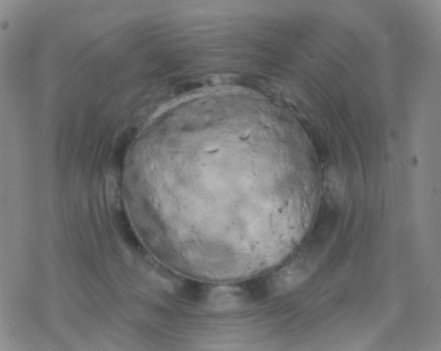 X0000074300222200609081925