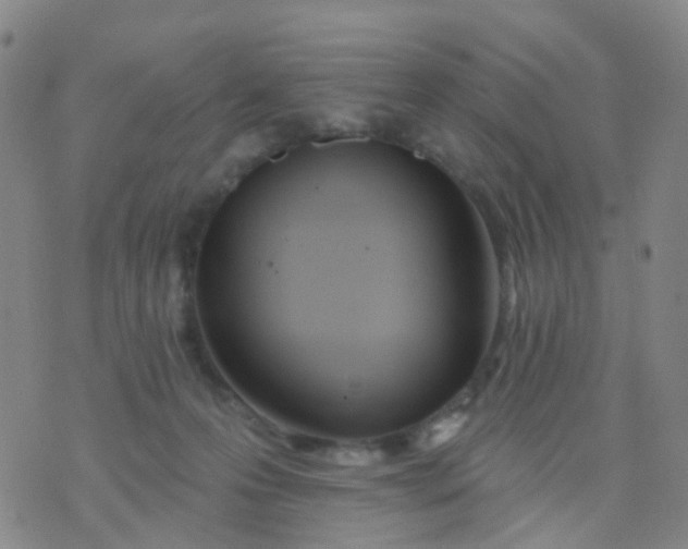 X0000074300223200609081925