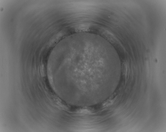 X0000074300224200609081925