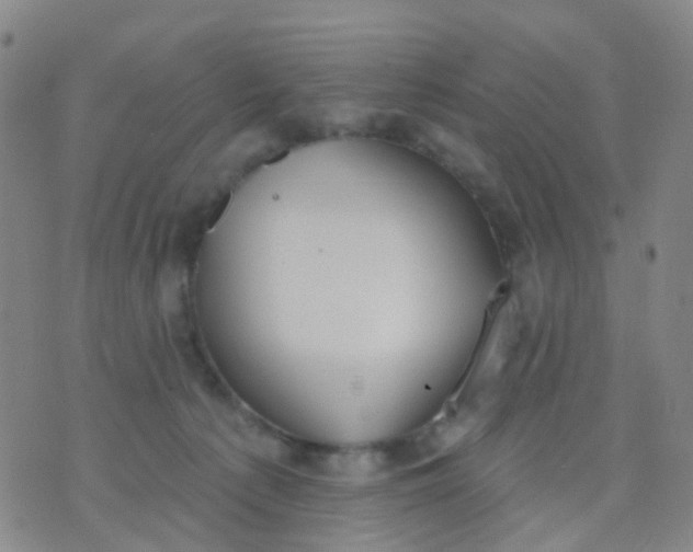 X0000074300225200609081925