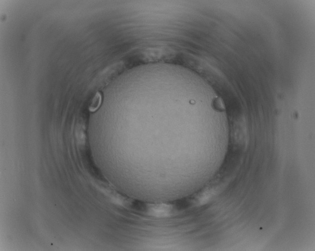 X0000074300226200609081925