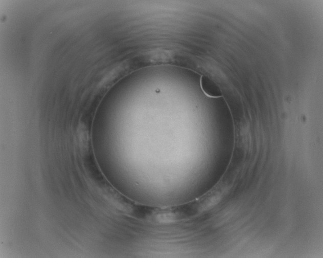 X0000074300228200609081925