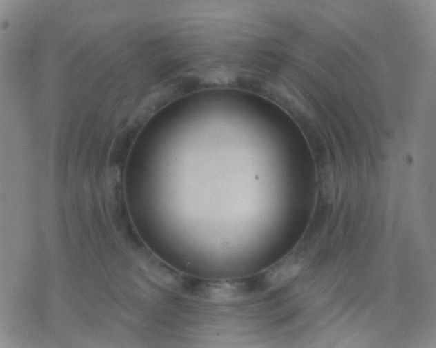 X0000074300229200609081925