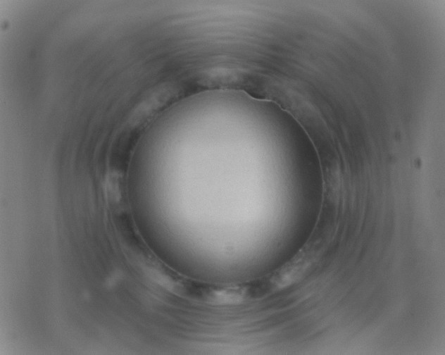 X0000074300232200609081925