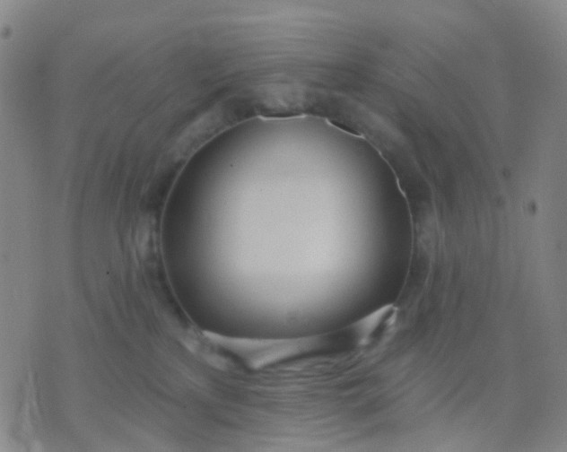 X0000074300233200609081925