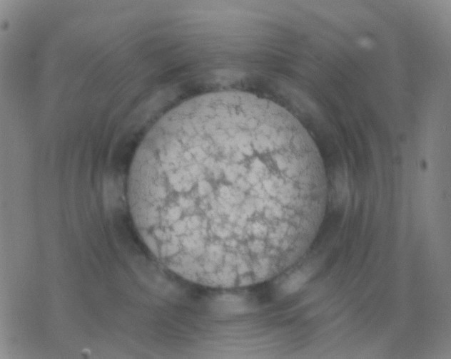 X0000074300236200609081925