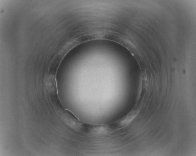 X0000074300237200609081925