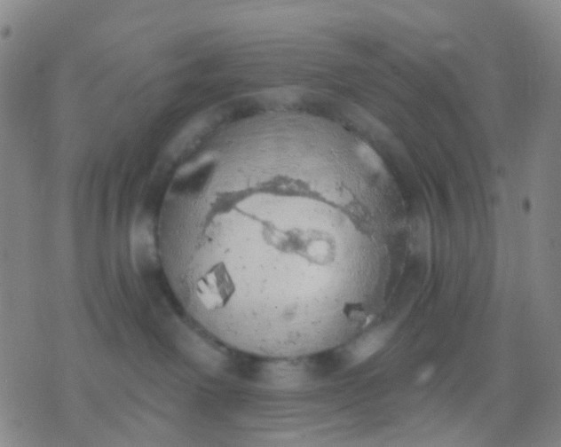 X0000074300238200609081925