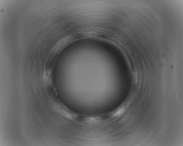 X0000074300239200609081925