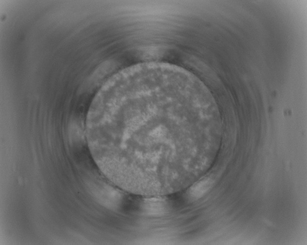 X0000074300240200609081925