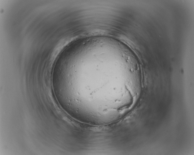 X0000074300241200609081924