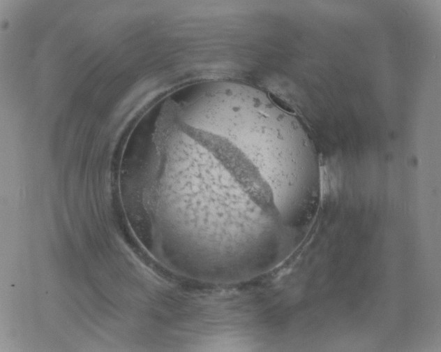 X0000074300243200609081924