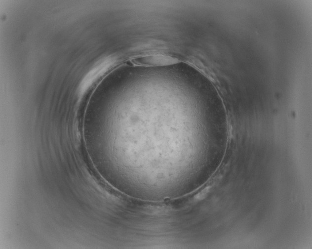 X0000074300245200609081924