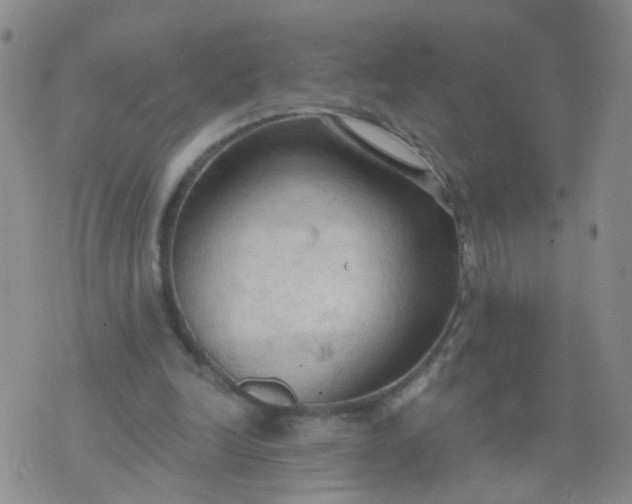 X0000074300246200609081924