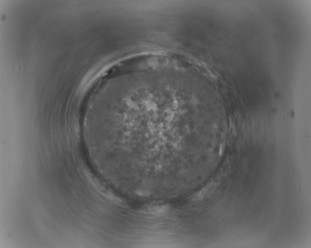 X0000074300247200609081924