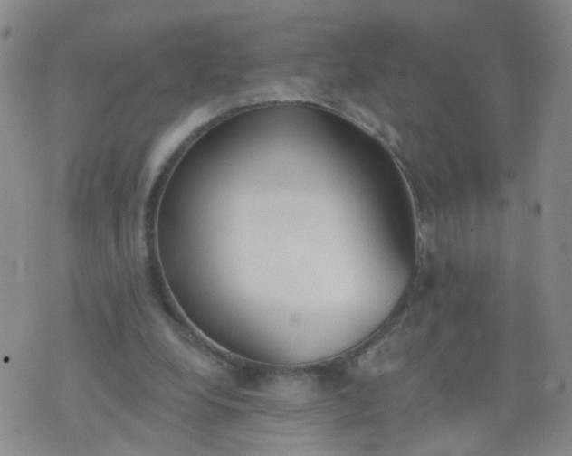 X0000074300248200609081924