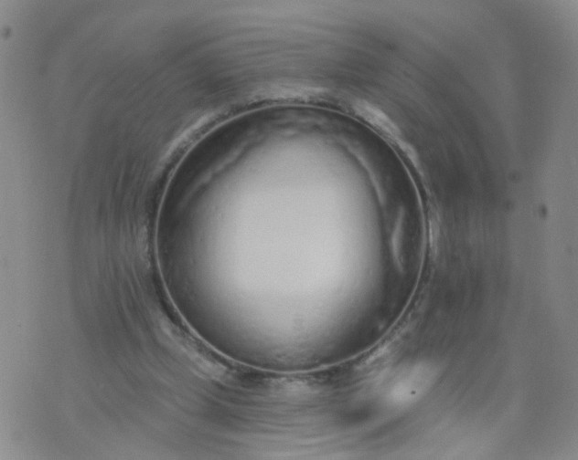 X0000074300249200609081924