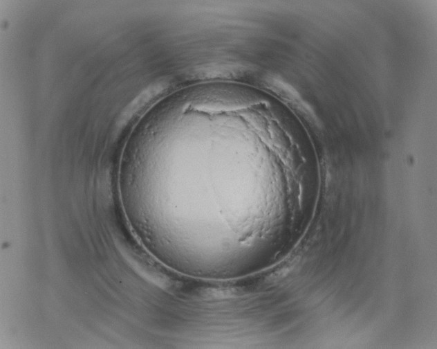 X0000074300250200609081924