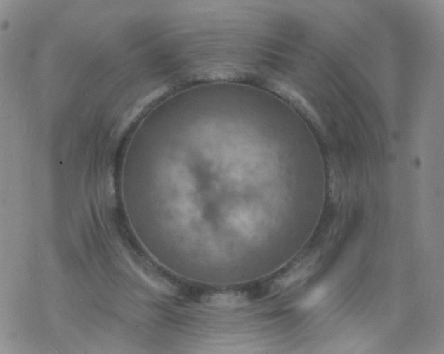 X0000074300251200609081924