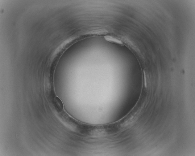 X0000074300252200609081924