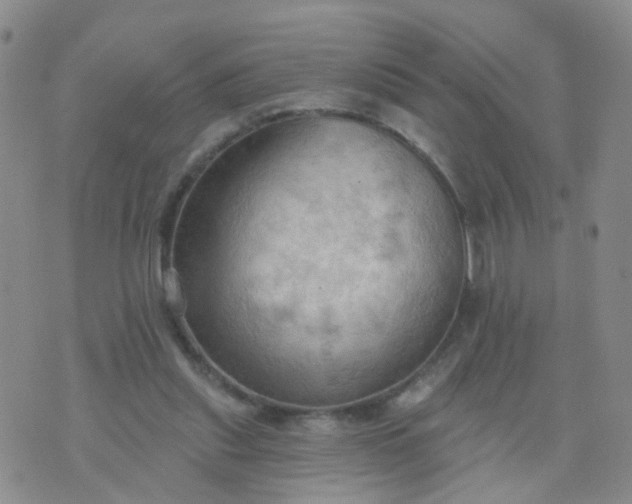 X0000074300253200609081924