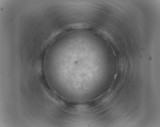 X0000074300255200609081924