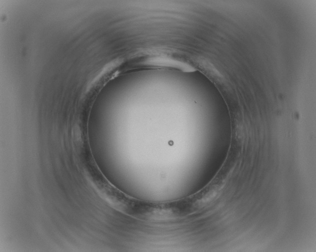 X0000074300256200609081924