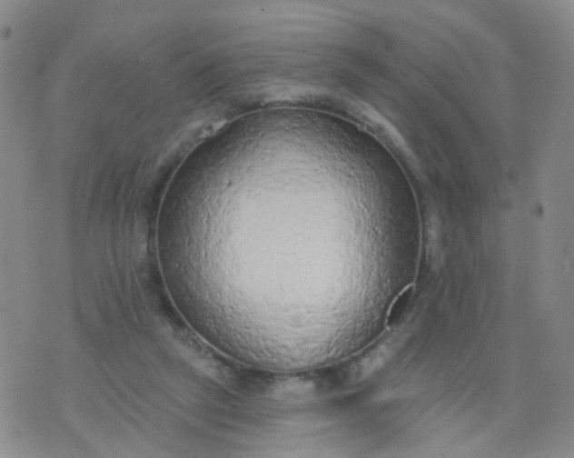 X0000074300257200609081924