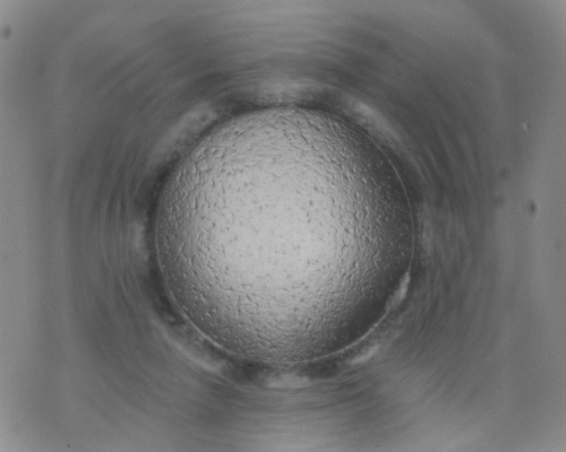 X0000074300258200609081924