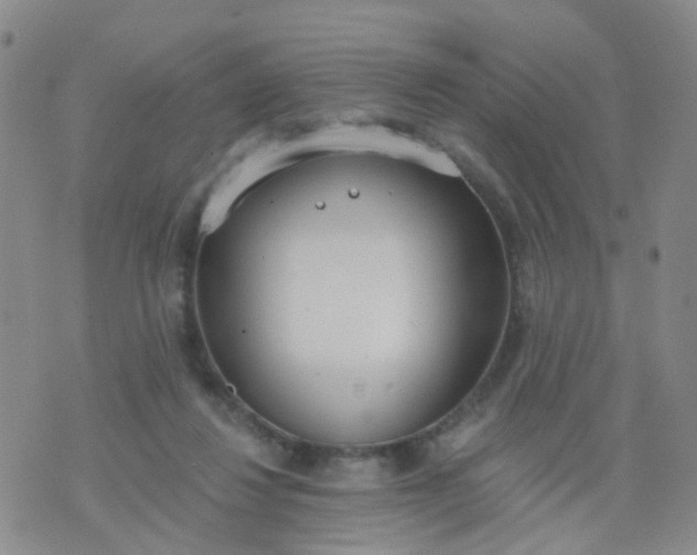 X0000074300260200609081924