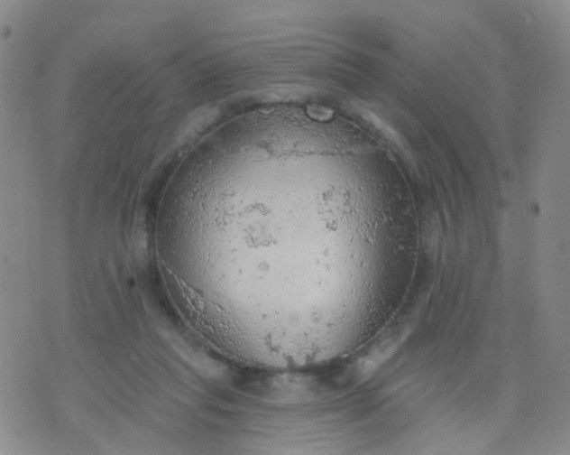 X0000074300261200609081924